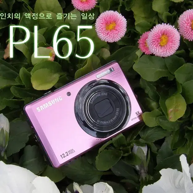 삼성 PL65 디카 삽니다