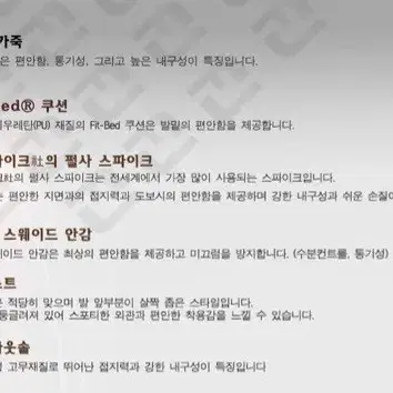 235~240 / 실착5회 / 밝은 이미지 풋조이 로프로 여성 골프화