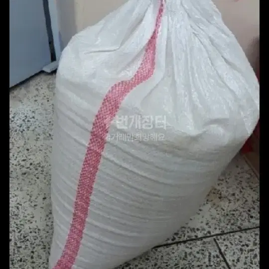 24년도 3월에 도정한 햅쌀 20kg 팝니다