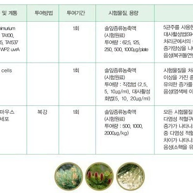 광동 파인맥스 골드