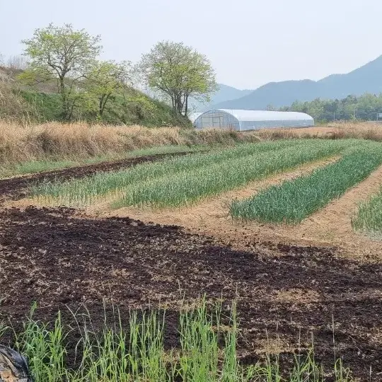 퇴비 살포 및 판매