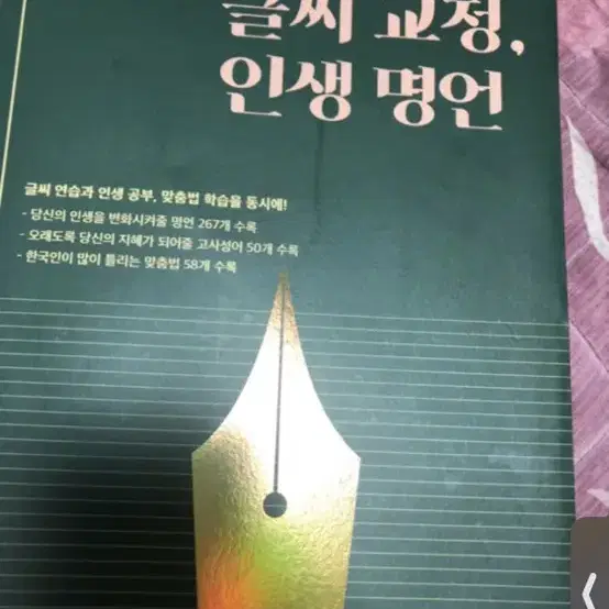 글씨 교정책