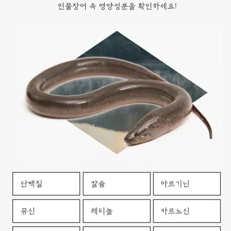 장어스틱 30포 선물추천