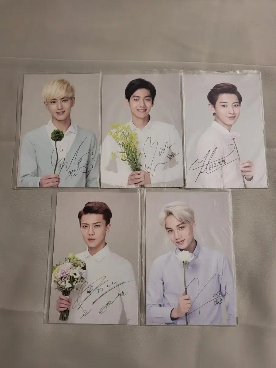 Exo Nature postcard WTS