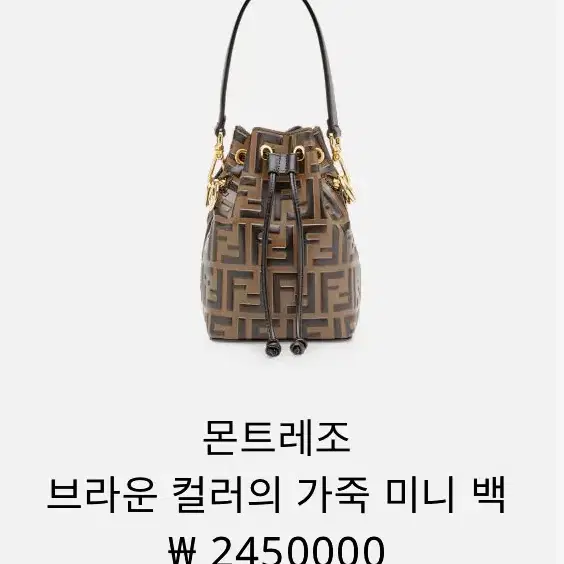 펜디 FENDI 몬트레조 버킷 백 브라운