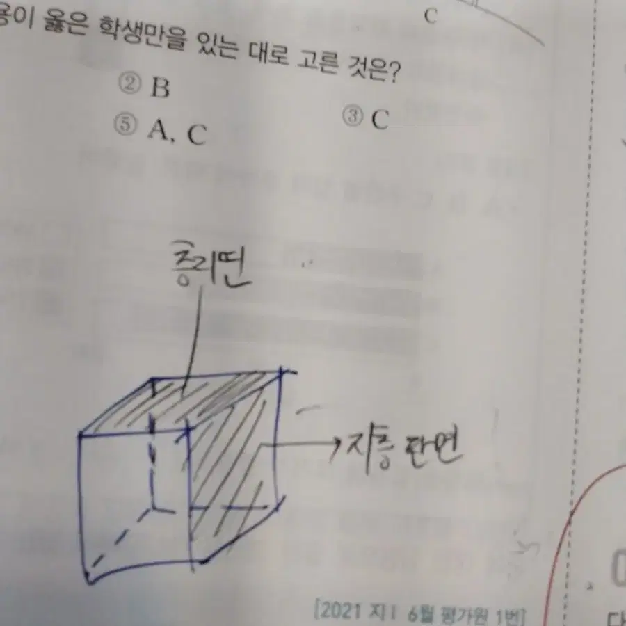 유자분