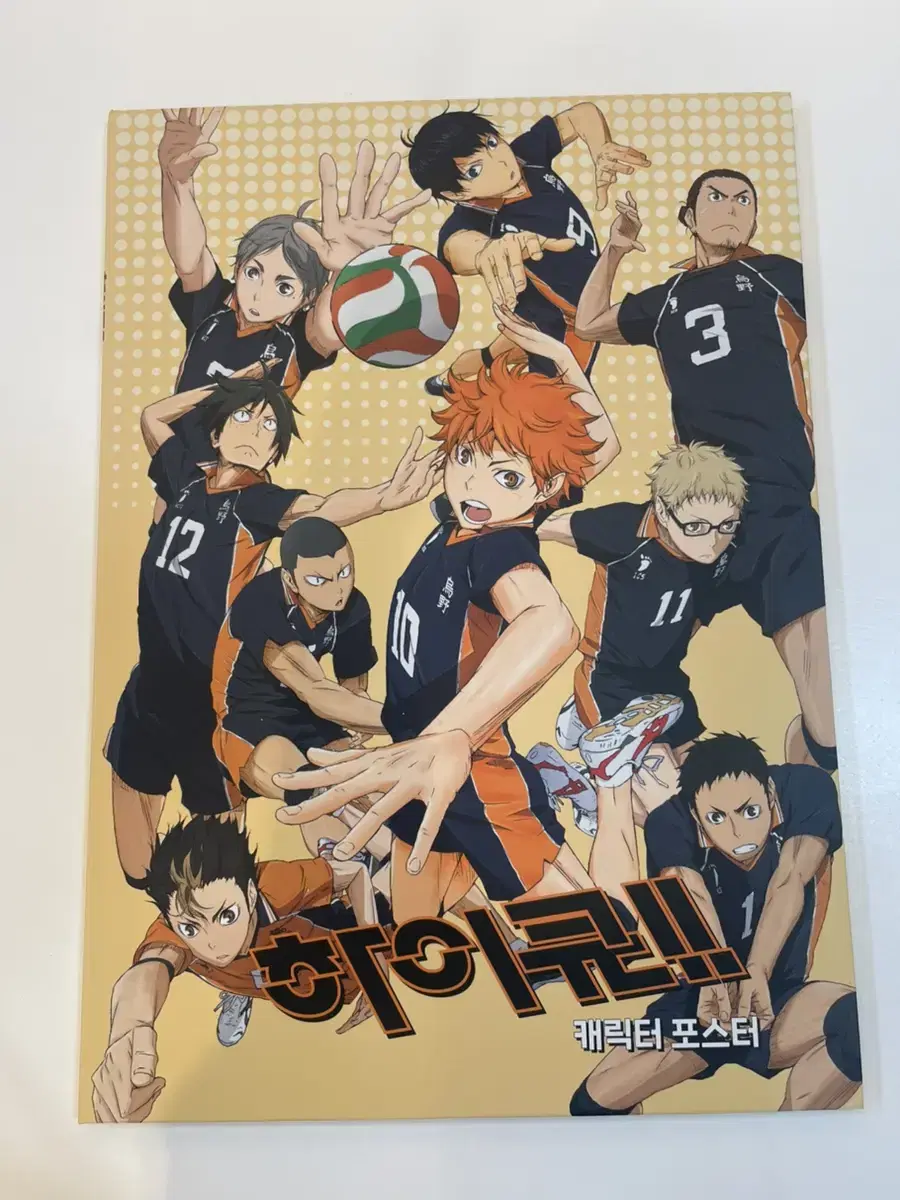 Haikyuu character poster