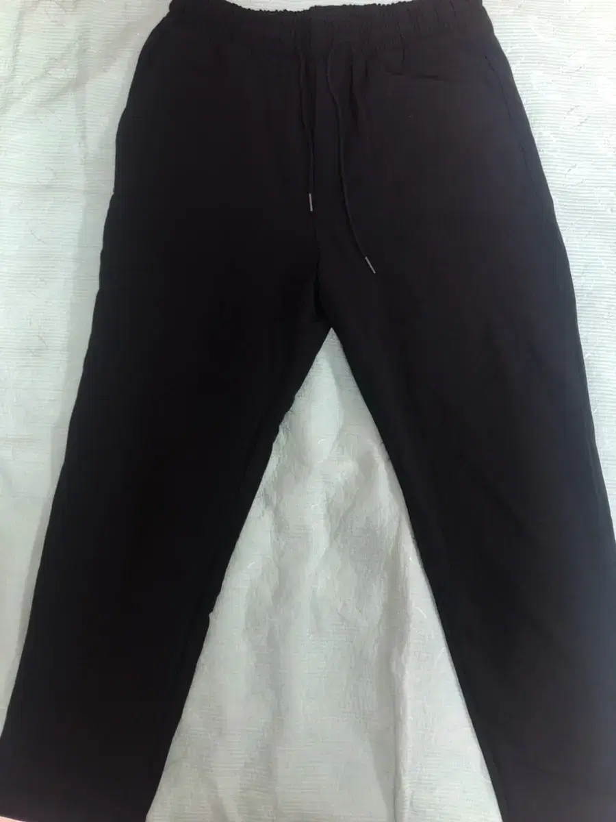 Branson Banded Slacks