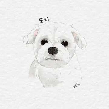 강아지.고양이 그림 그려드립니다 !!! | 브랜드 중고거래 플랫폼, 번개장터