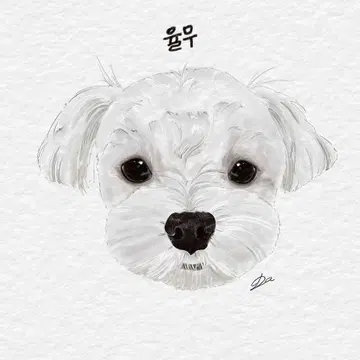 강아지.고양이 그림 그려드립니다 !!! | 브랜드 중고거래 플랫폼, 번개장터