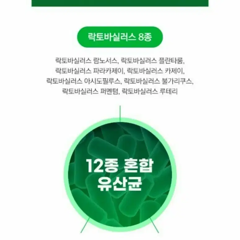 (최저가)프로바이오틱스유산균 떨이침 박스당5500원