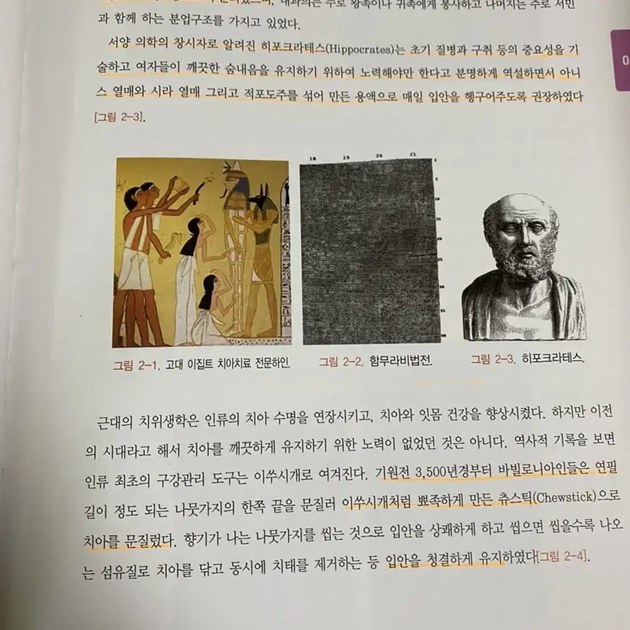 치위생 치위생학입문 전공책