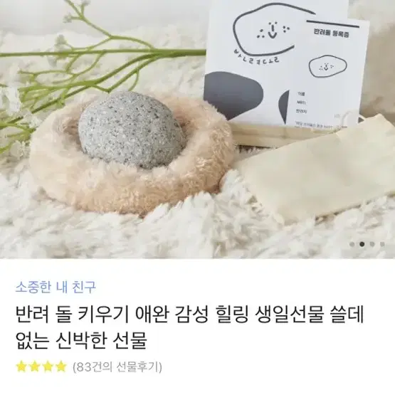 반려 돌 키우기