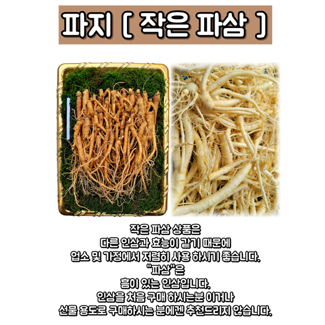 산지직송 금산인삼 가정용으로 가성비 좋은 파삼,못난이삼 500g