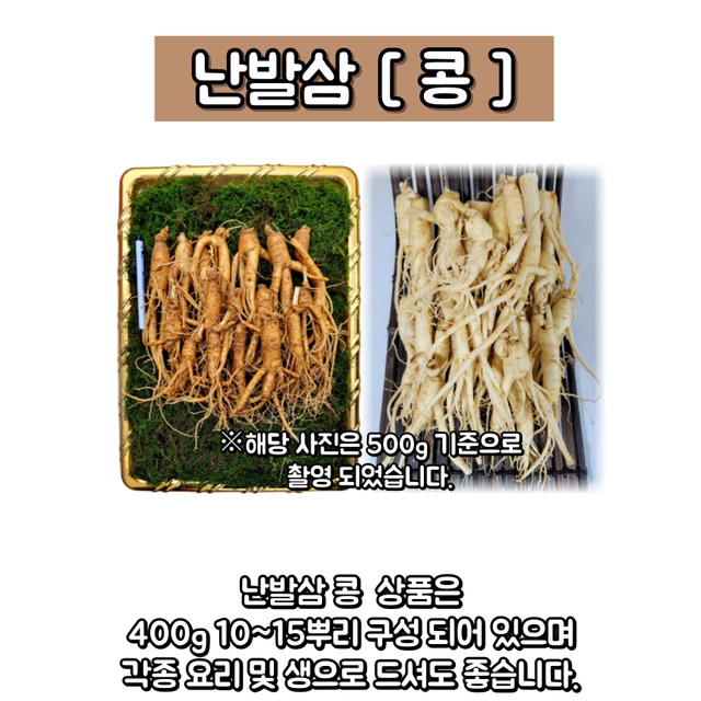 콩 난발삼 400g 금산인삼 산지직송