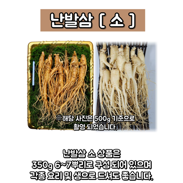 소 난발삼 10뿌리 내외 350g 6~7뿌리 내외 금산인삼 산지직송