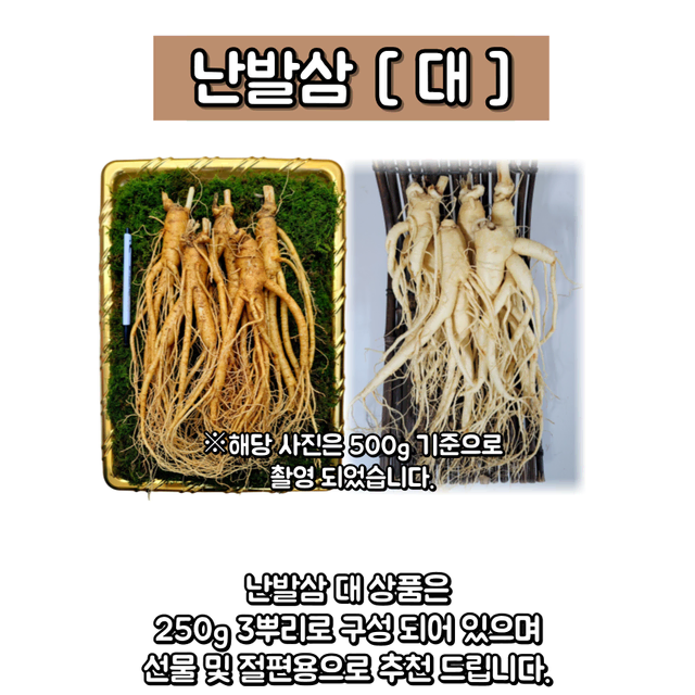 대 난발삼 3뿌리 250g 산지직송 금산인삼