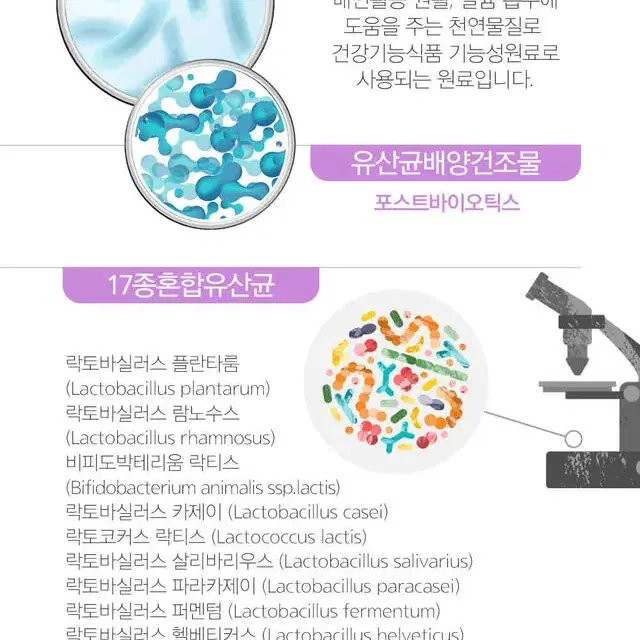 제곱 빈티지포유 효소에푸룬