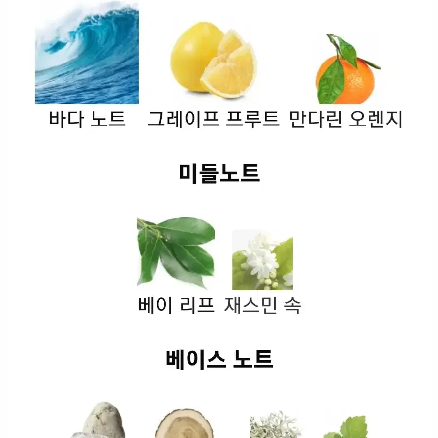 파코라반 인빅터스 2013 신선하고 스포티한 파코라반향수