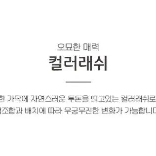 스카이블루 퍼플 컬러래쉬 컬러 믹스 컬러속눈썹 셀프 컬러 믹스 속눈썹