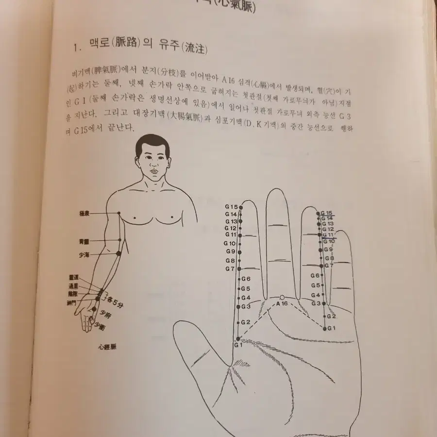 고려수지침원서