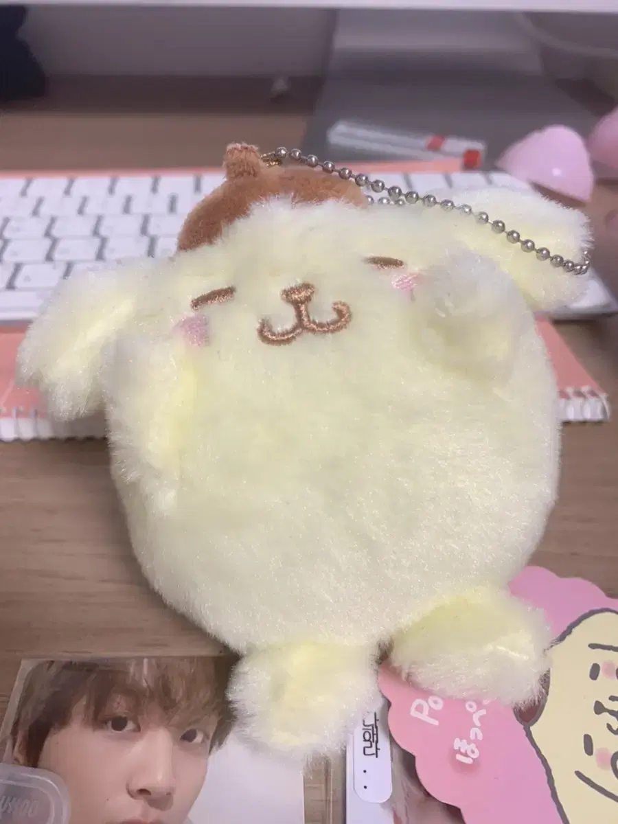 Pompompurin Boutonniere Mascot doll Keyring