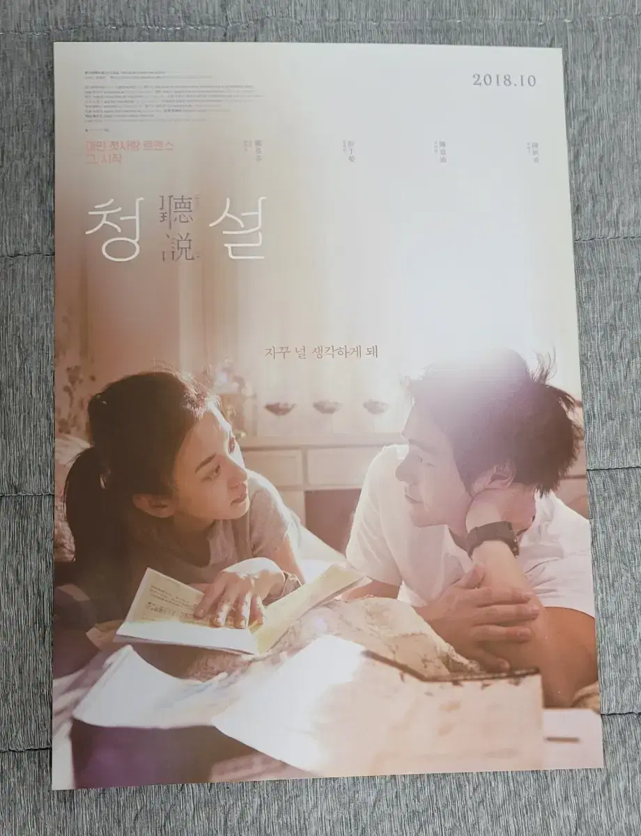 [영화팜플렛] 청설 재개봉 전단지 (2018) 펑위옌 진의함 천옌시