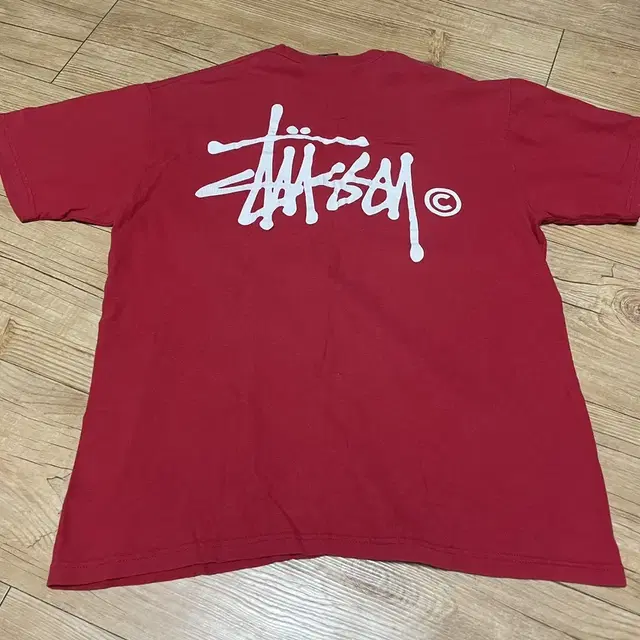 stussy vintage t(스투시 빈티지 티셔츠)