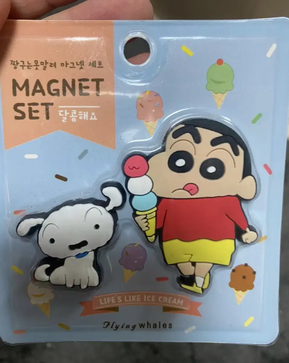 Chan-gu Magnet New Product