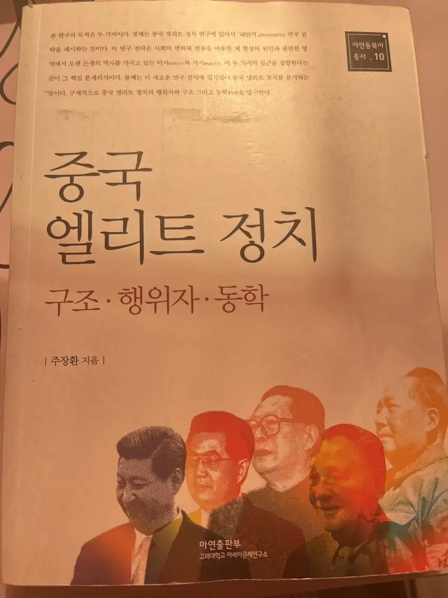 중국 엘리트 정치 책