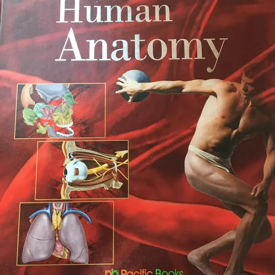 퍼시픽 인간해부학(pacific's human anatomy)