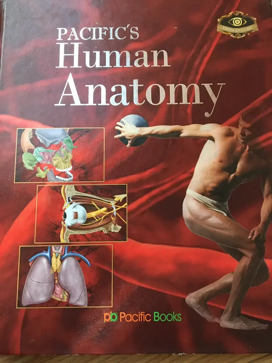 퍼시픽 인간해부학(pacific's human anatomy)