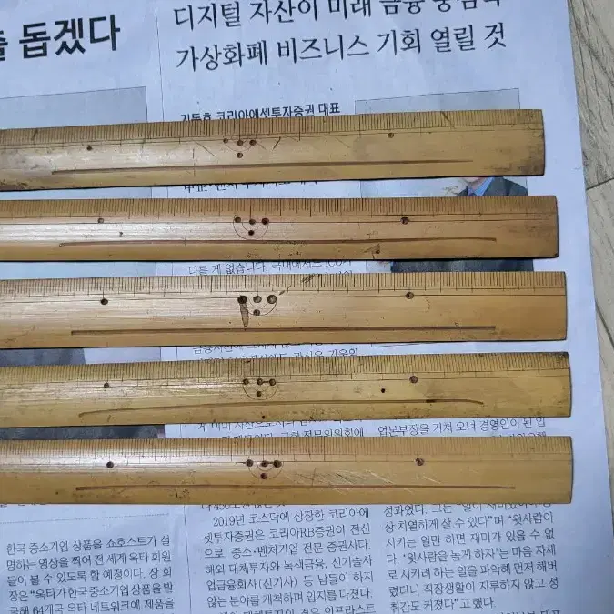 대나무 자