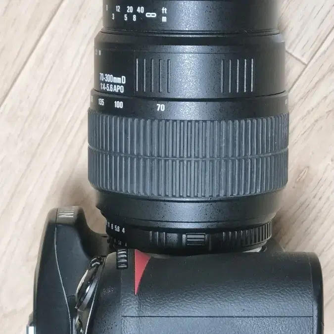 니콘 D80 + 시그마 70-300mmD APO / DSLR 카메라