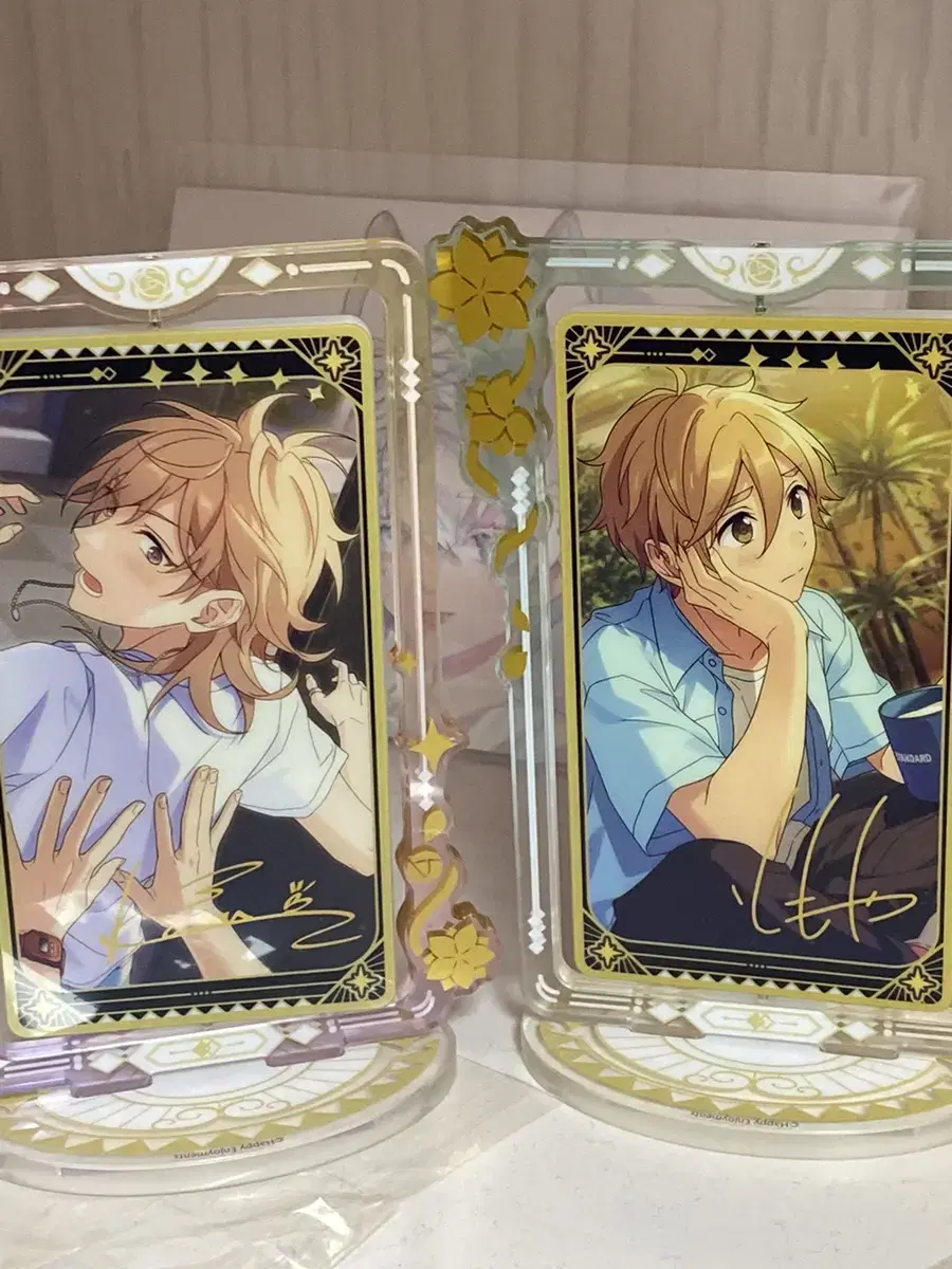 Tomoya Kaoru Rotating Acrylic Bulk