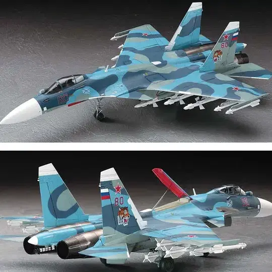 하세가와 프라모델 Su-33 프랑 카