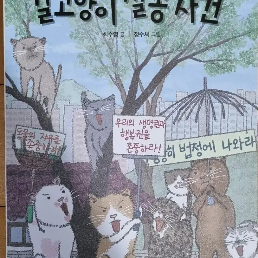 길고양이 실종 사건