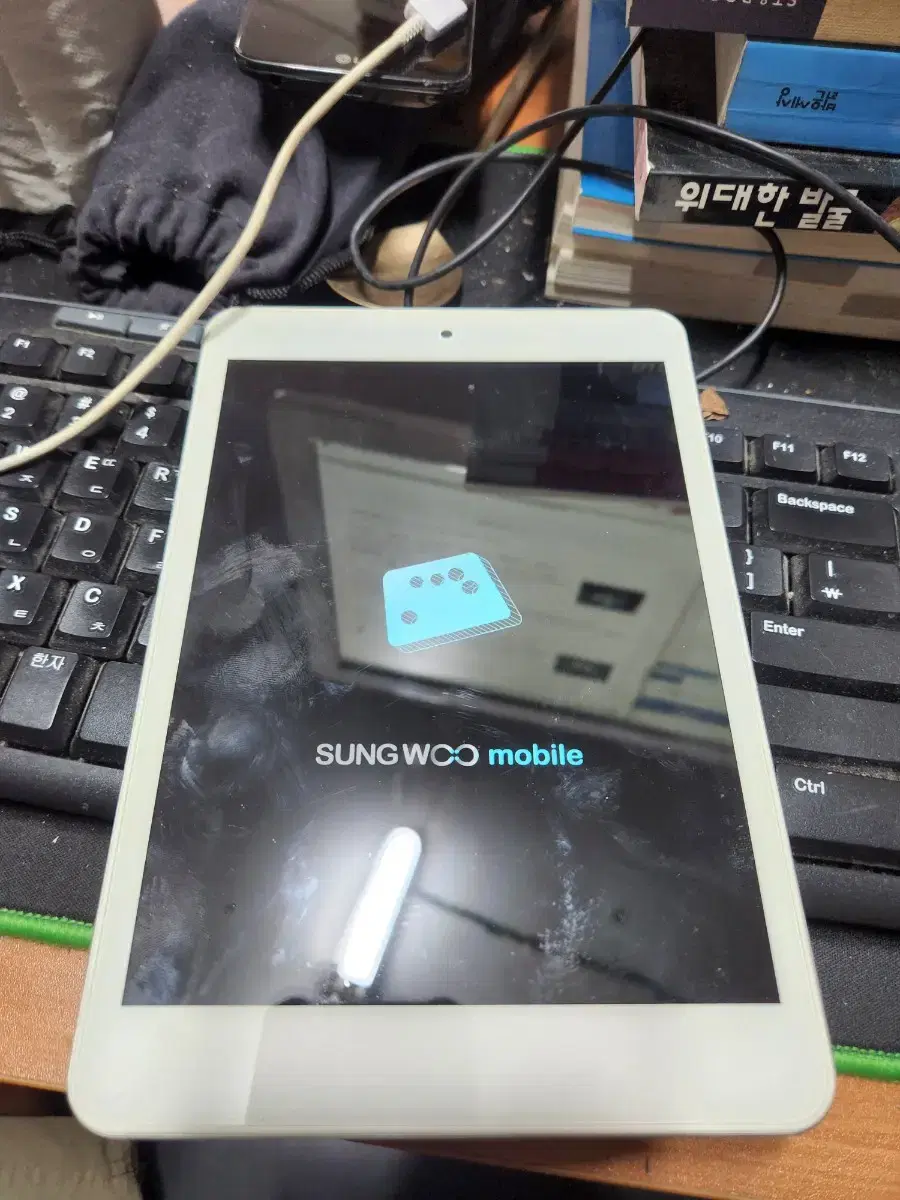 Palm for Sungwoo Mobile Connectedia Parts