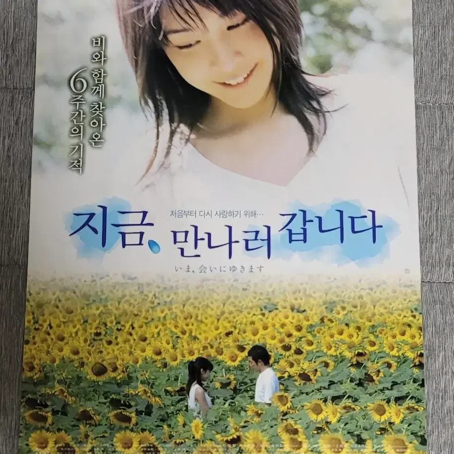 [영화팜플렛] 지금 만나러 갑니다 원개봉전단지 (2005) 다케우치유코