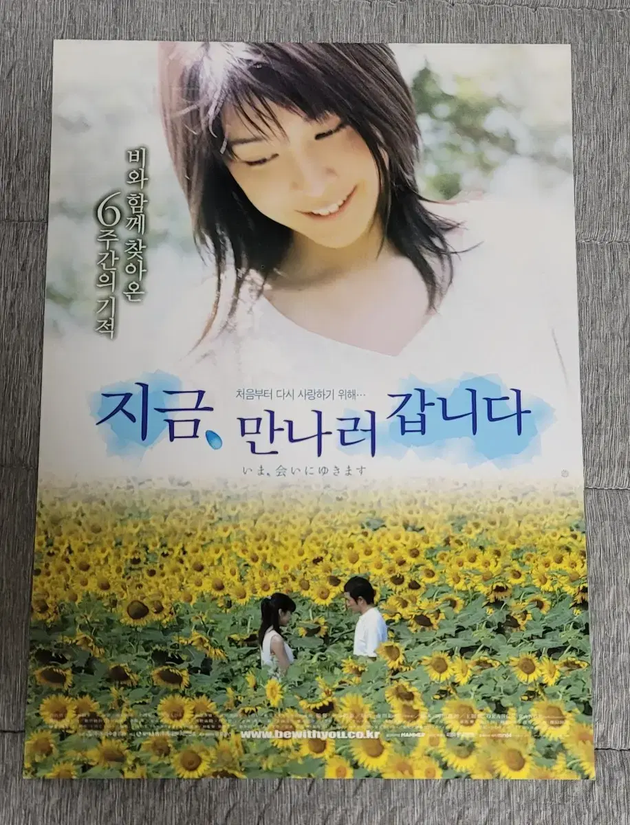 [영화팜플렛] 지금 만나러 갑니다 원개봉전단지 (2005) 다케우치유코