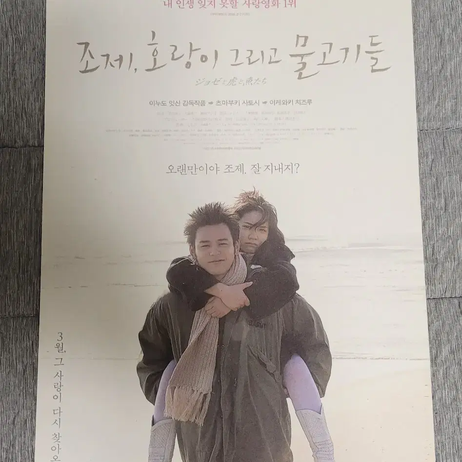 [영화팜플렛] 조제 호랑이 그리고 물고기들 재개봉전단지 (2016)