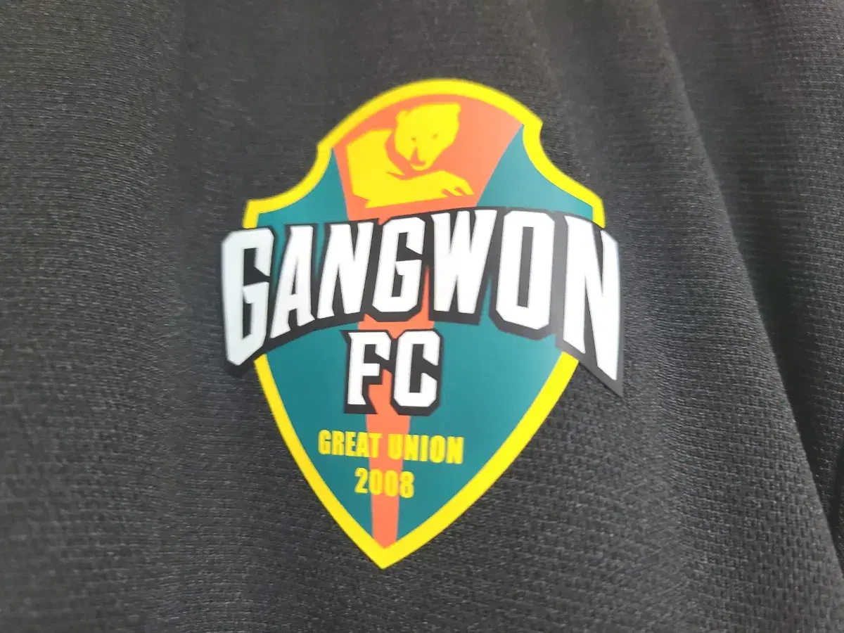 Gangwon FC Training Top