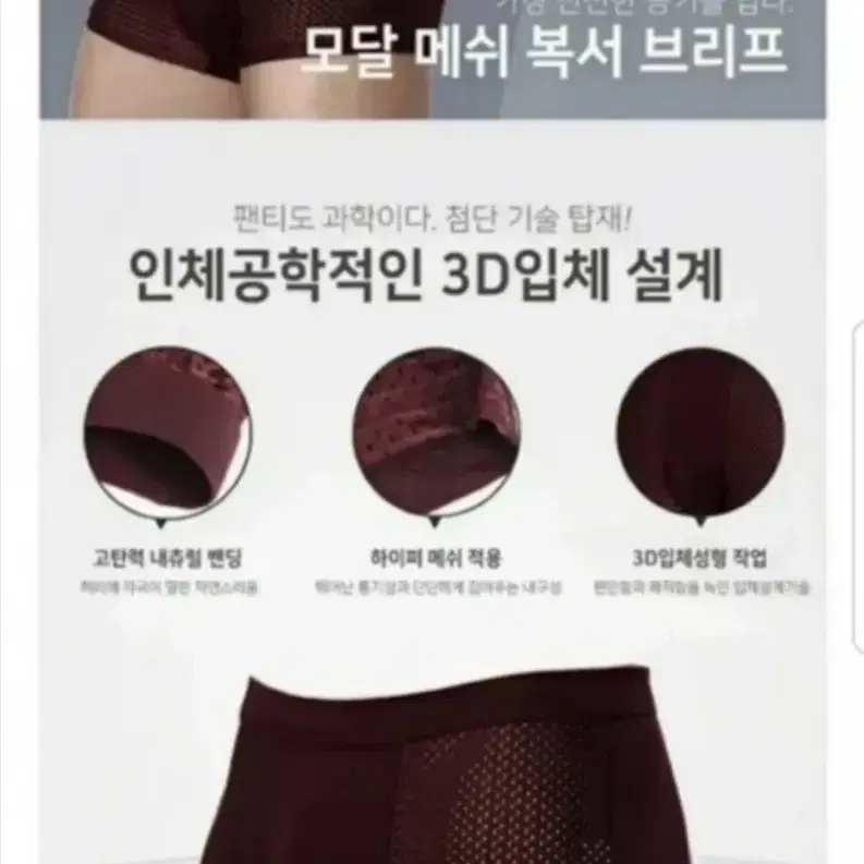 남성용 팬티 10장 23000원 무료배송