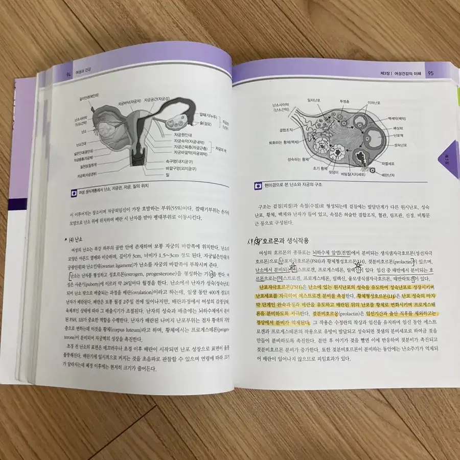 고문사 여성과건강