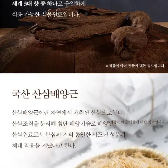 산삼배양근 침향 스틱