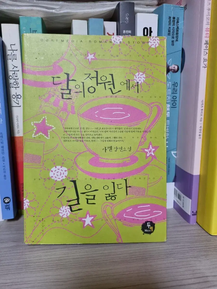 Romance Novel/Lost in the Jungwon of the Moon