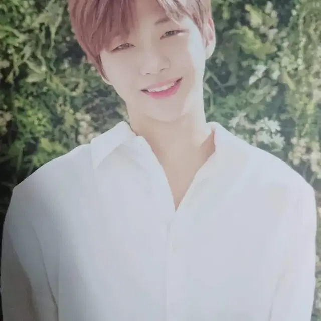 이니스프리 강다니엘 굿즈 세트