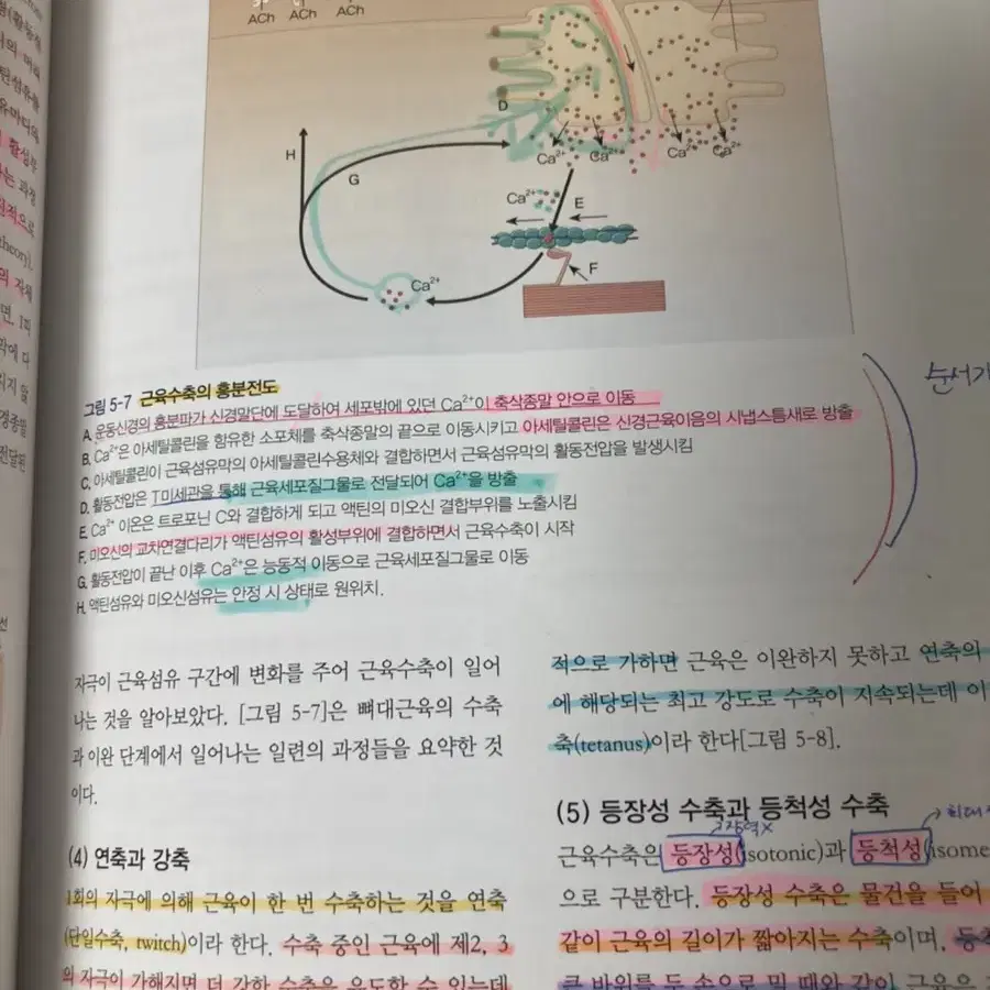 알기쉬운 인체생리학 고문사