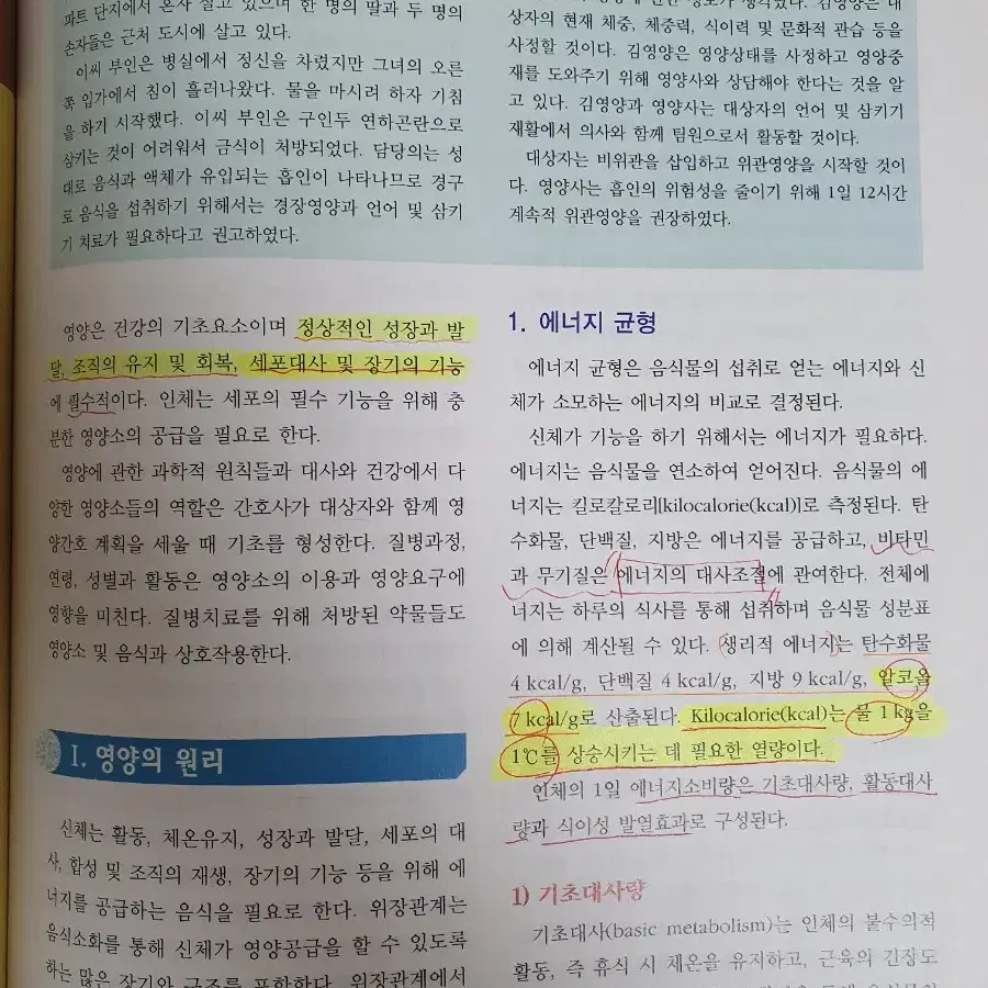 현문사 기본간호학2 수정판