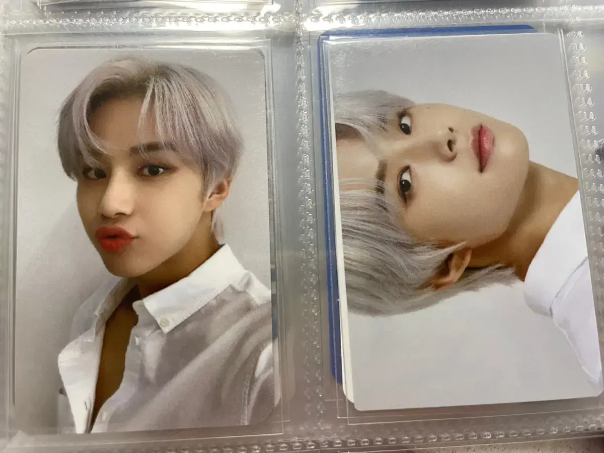 Seasons Greetings Photo Pack jungwoo 127 2022 Selfie Conpo